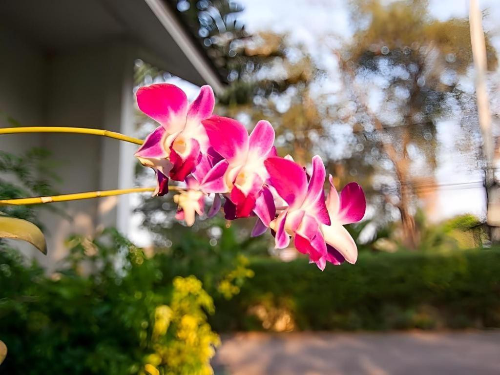 Chayada Garden House And Resort Hotel Nakhonratchasima Eksteriør bilde